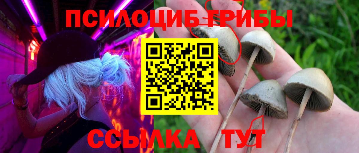 Галлюциногенные грибы ЛСД  Вход с VPN  Псилоцибиновые грибы Psilocybine cubensis  Клинцы 